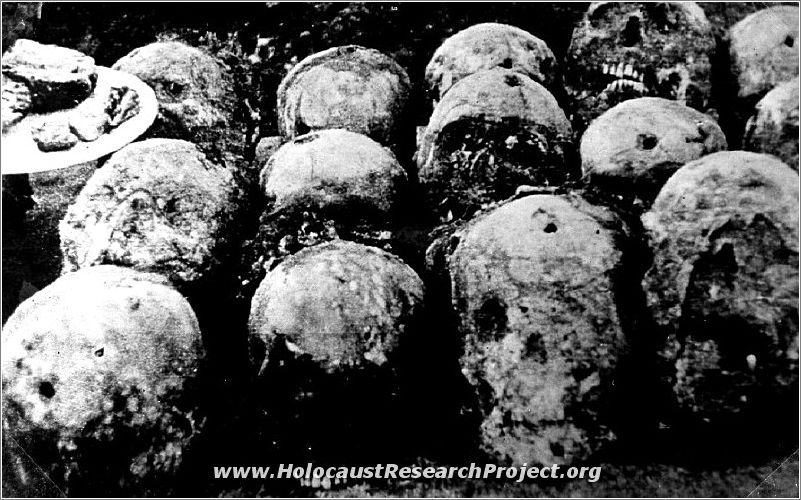 Skulls of victims murdered at Majdanek